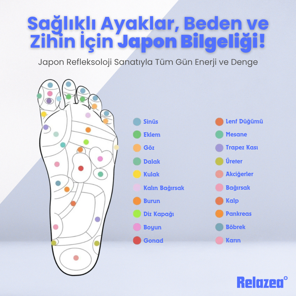 Relazea® Manyetik Tabanlık